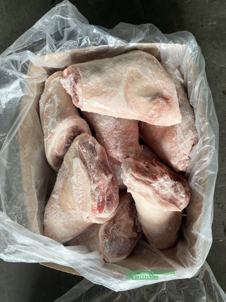 Khoanh giò heo đông lạnh nhập khẩu giá ưu đãi trong năm